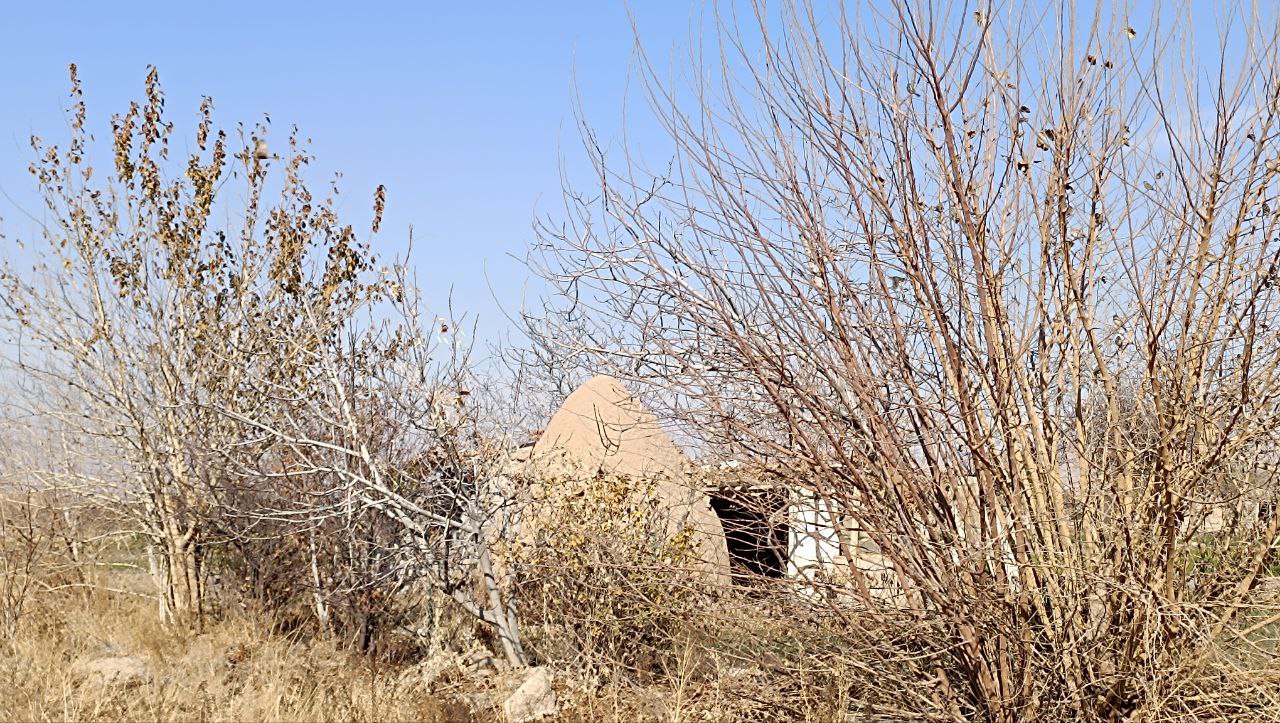 باغ در پاییز حکم آباد